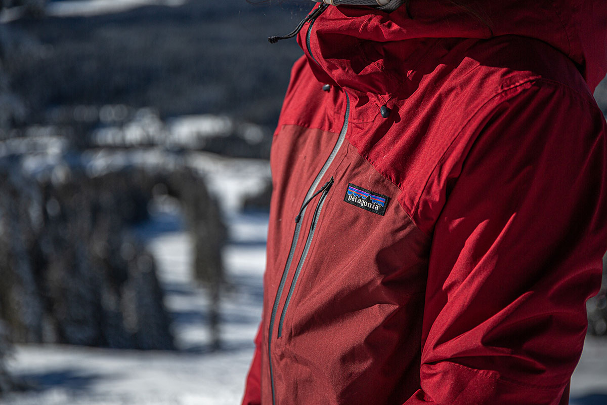 Patagonia Insulated Powder Town Jacket (logo closeup)